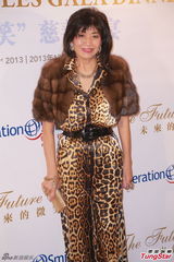 组图：郭晶晶产后出席慈善晚宴 大赞霍启刚辛苦