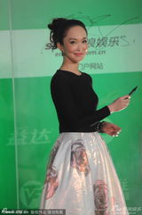 组图：上海电视节红毯 范文芳性感紧身黑衣亮相