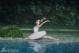 幻灯图集：大型全景芭蕾舞剧《天鹅湖》剧照
