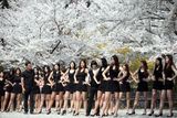 组图：韩国准模特樱花树下上课 露大长腿拼性感