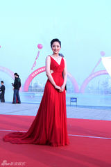 幻灯图集：董璇红裙亮相金鸡奖红地毯展优雅