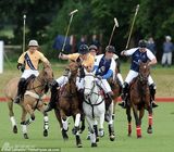 组图：女粉丝拍威廉哈里兴奋大叫喜感十足