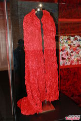 组图：张国荣纪念展揭幕 唐鹤德现身怀念哥哥