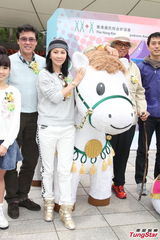 组图：刘嘉玲亮相慈善活动 称遇好角色愿拍剧