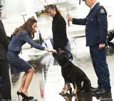 组图：凯特王妃着蓝裙优雅 爱心爆表频逗汪星人