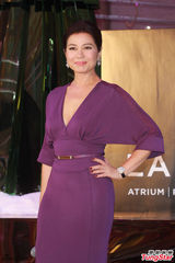 组图：钟楚红亮相圣诞活动 低胸长裙优雅出镜