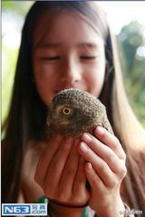 组图：现实版雨林精灵 美丽姐妹花守护西双版纳