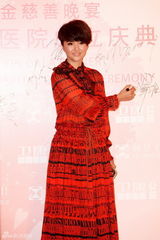 组图：嫣然天使幼儿园成立 众星亮相慈善晚宴