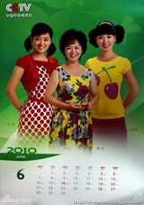 资料：央视名嘴2010年历 白岩松李瑞英一哥一姐