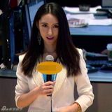 组图：新浪最美女记者走红 神似佟丽娅娄艺潇