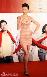 幻灯图：《全城热恋》首映红毯 四女星同场竞艳