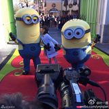 组图：Cindy美国酒店疯玩无困意 田亮崩溃