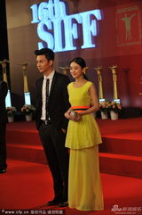 组图：陈晓【演员】赵丽颖亮相上海电影节红毯男帅女靓