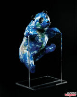 组图：黄晓明周迅阿信曝趣味写真 为大熊猫筹款