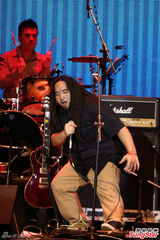 组图：蔡健雅抱吉他飙歌 压轴免费宣传新歌