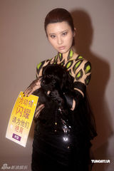 幻灯图：尚雯婕母豹造型亮相 为慈善延续雷人风