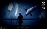 组图：《咒丝》定档曝新海报 嗜血女鬼摄人心魄