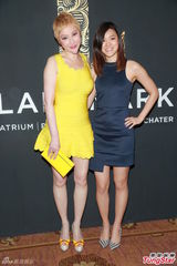 组图：薛芷伦出席晚宴 邓永锵否认帕特洛离婚