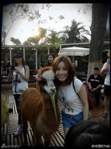 组图：徐怀钰度假兴奋合影草泥马 36岁仍似少女