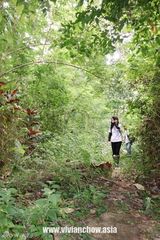 46岁周慧敏斯里兰卡公益行 为孩童剪发吹泡泡