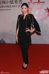 组图：亚洲小姐选拔深圳面试 选手身段招数各异