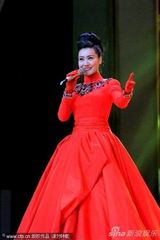 组图：央视跨年董卿遭替换 谭晶古巨基等献唱