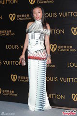 甄子丹妻子否认再办婚礼 阿Sa闭关未见陈伟霆