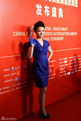 组图：吴奇隆刘诗诗李小璐等亮相华鼎奖红毯