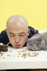 组图：包贝尔携萌猫出镜 上演人猫争宠记