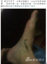 组图：网友“炫富”还珠脸盆当官窑惊呆林心如