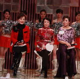 幻灯图：《华人大综艺》录制 王喜得“丈母娘”喜爱