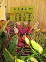 幻灯图：alan璀璨歌喉惊爆乐坛 滨崎步致贺日本巡演