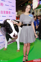 组图：吴彦祖娇妻Lisa S.产后亮相上围升级D乳