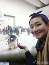 组图：Hebe小清新游墨尔本 Selina鳄鱼口逃生