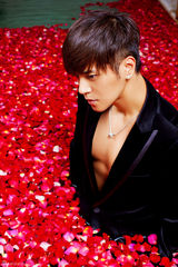 高清组图：罗志祥万朵玫瑰共浴 小秀性感事业线