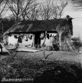 组图：《北上海1950》历史资料照片