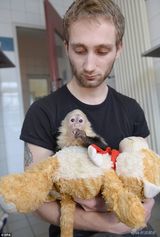 组图：比伯宠物猴被扣德国 小家伙异国吐舌卖萌