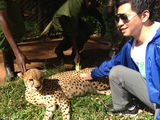 组图：李健支持环保赴肯尼亚 温柔抚摸帅气猎豹