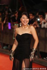组图：金钟奖红毯琇琴低胸美腿大秀性感