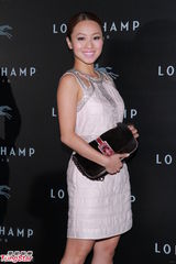 组图：刘嘉玲高圆圆等盛装出席时尚派对