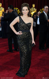 高清组图：奥斯卡红毯 蒂娜-菲蕾丝长裙镶满钻石