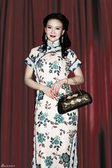 组图：郑亦桐《大上海》名伶旗袍曼妙风情