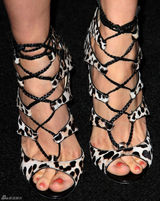 高清组图：《吸血鬼日记》主角亮相美国电视节