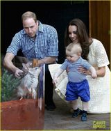 组图：威廉夫妇参观动物园 小王子与兔兔玩耍