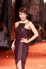 组图：亚太影展女星比美 侯佩岑温碧霞红毯争艳