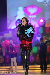 幻灯图：新年夜星光灿灿耀上海 倒计时焰火迎世博