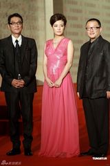 幻灯图：上海电影节星光闪耀 赵薇张柏芝辣妈吸睛