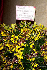 组图：李心洁出书谈结婚历程 夫婿彭顺VCR表心迹