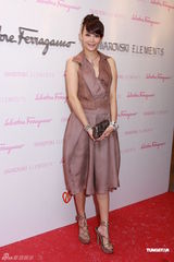 组图：杨采妮着粉裙献身慈善 与关楚耀周倩圯筹款