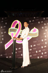 组图：梁静任防乳癌大使 亮相粉红之夜点灯仪式
